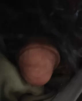 男鸭子会活