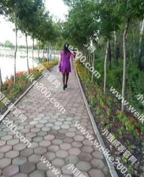 熟女超级骚逼可以干屁眼